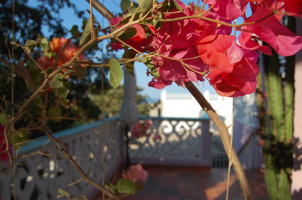 Hotel Casa Bella Mya à Taganga Extérieur photo